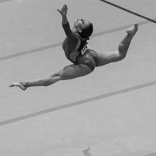 GINNASTICA ARTISTICA